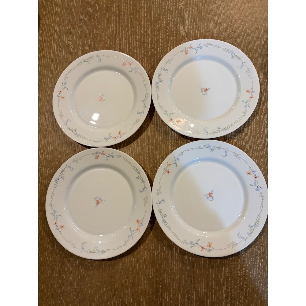 Arcopal France Odessa Glass 10.75" Dinner Plates Set Of 4 Blue Pink Floral